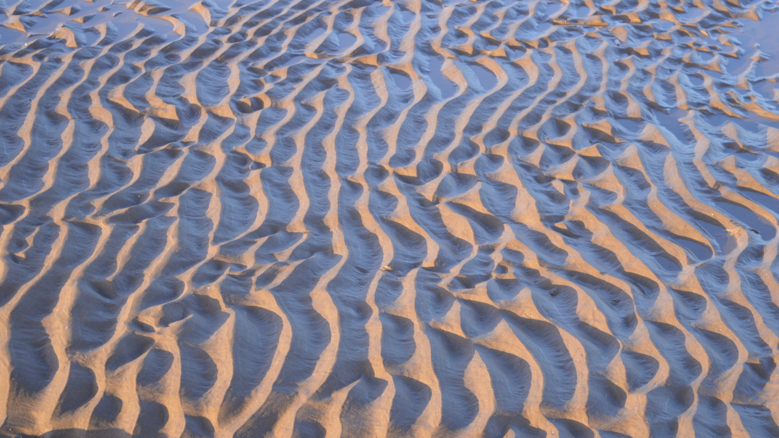 Обои текстура, песок, пляж, texture, sand, beach разрешение 6016x4000 Загрузить