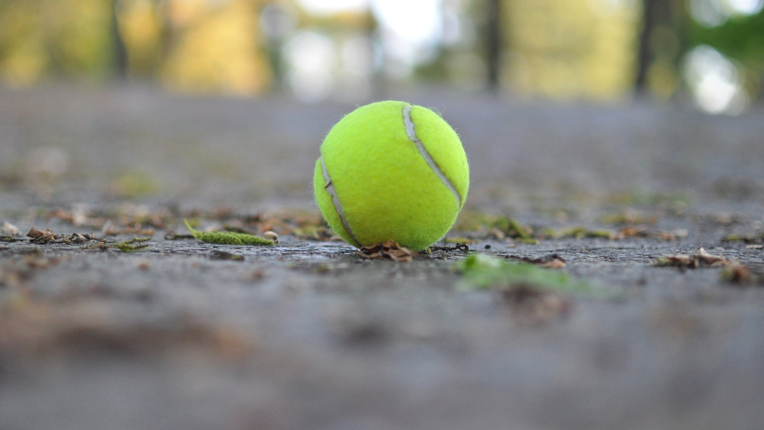 Обои макро, мяч, теннис, теннисный мяч, macro, the ball, tennis, tennis ball разрешение 2880x1800 Загрузить