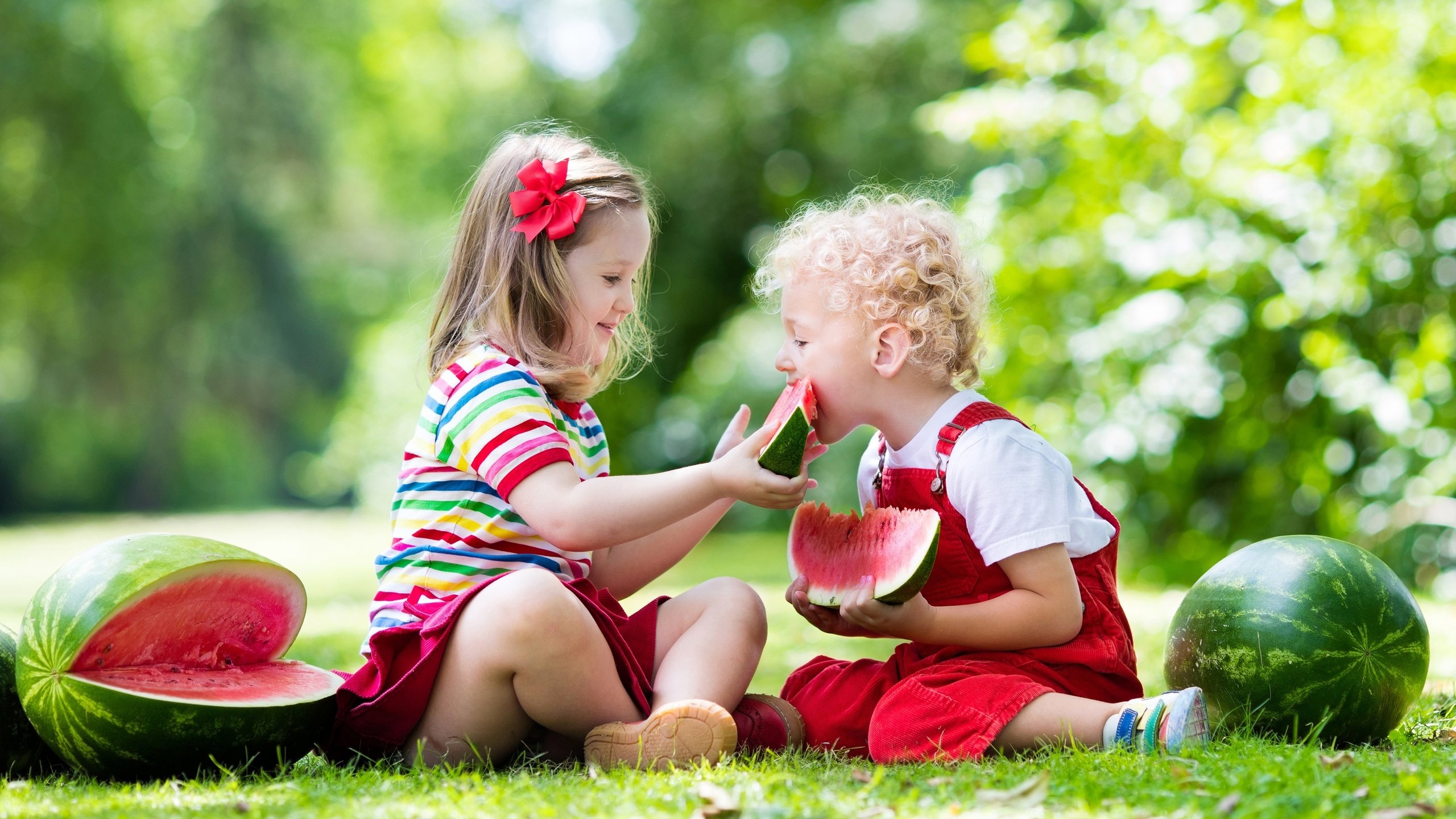 Обои трава, природа, лето, дети, девочки, арбузы, grass, nature, summer, children, girls, watermelons разрешение 4000x2648 Загрузить