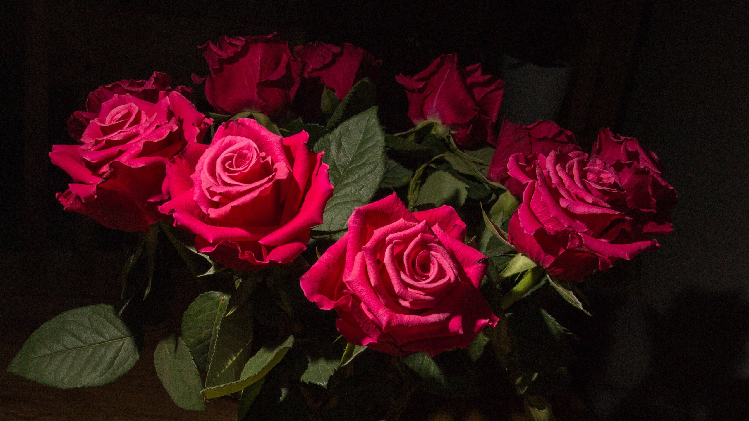 Обои цветы, бутоны, розы, лепестки, красные, букет, flowers, buds, roses, petals, red, bouquet разрешение 3065x2245 Загрузить