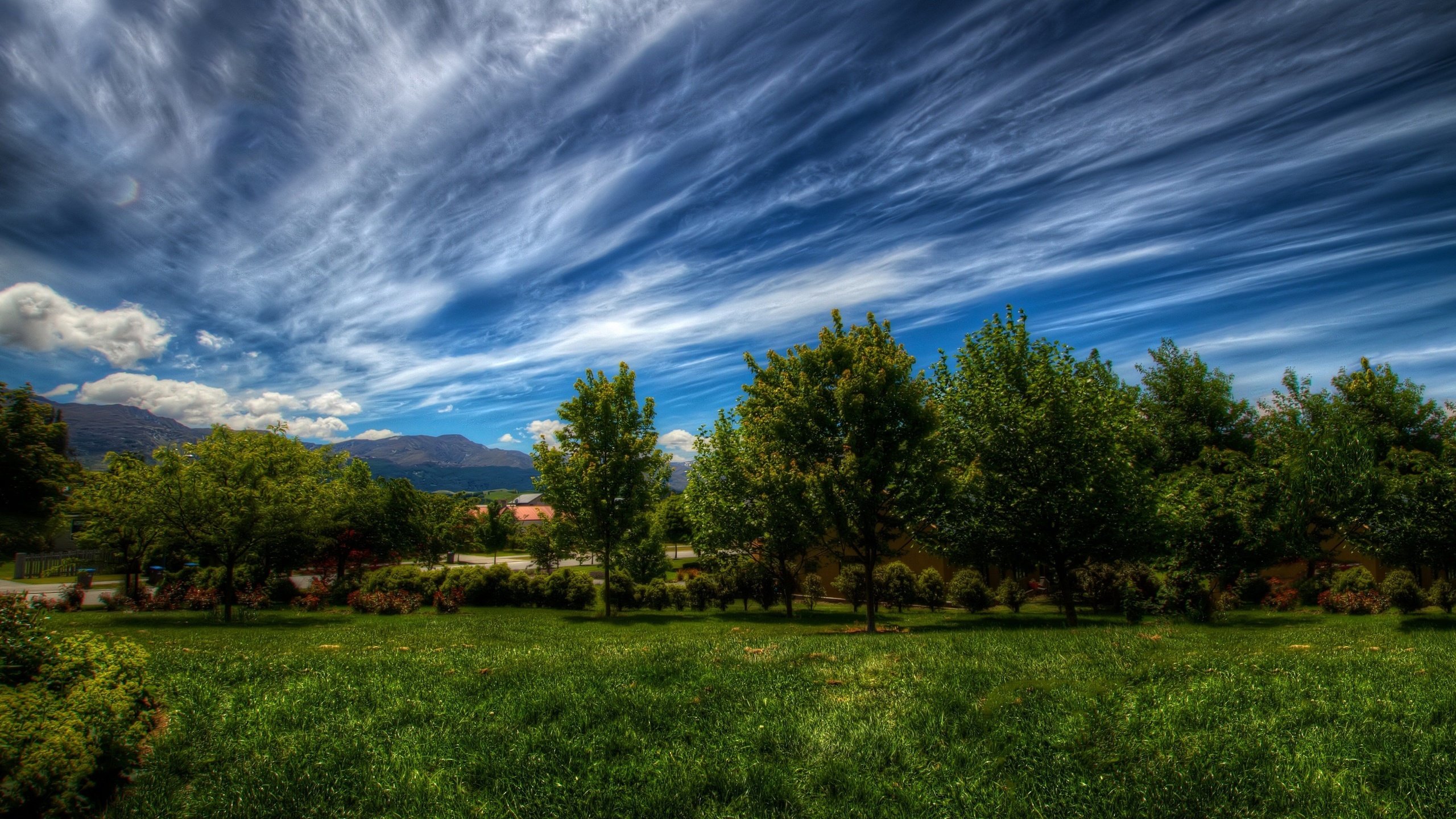 Обои небо, трава, облака, деревья, природа, зелень, пейзаж, the sky, grass, clouds, trees, nature, greens, landscape разрешение 5120x2880 Загрузить