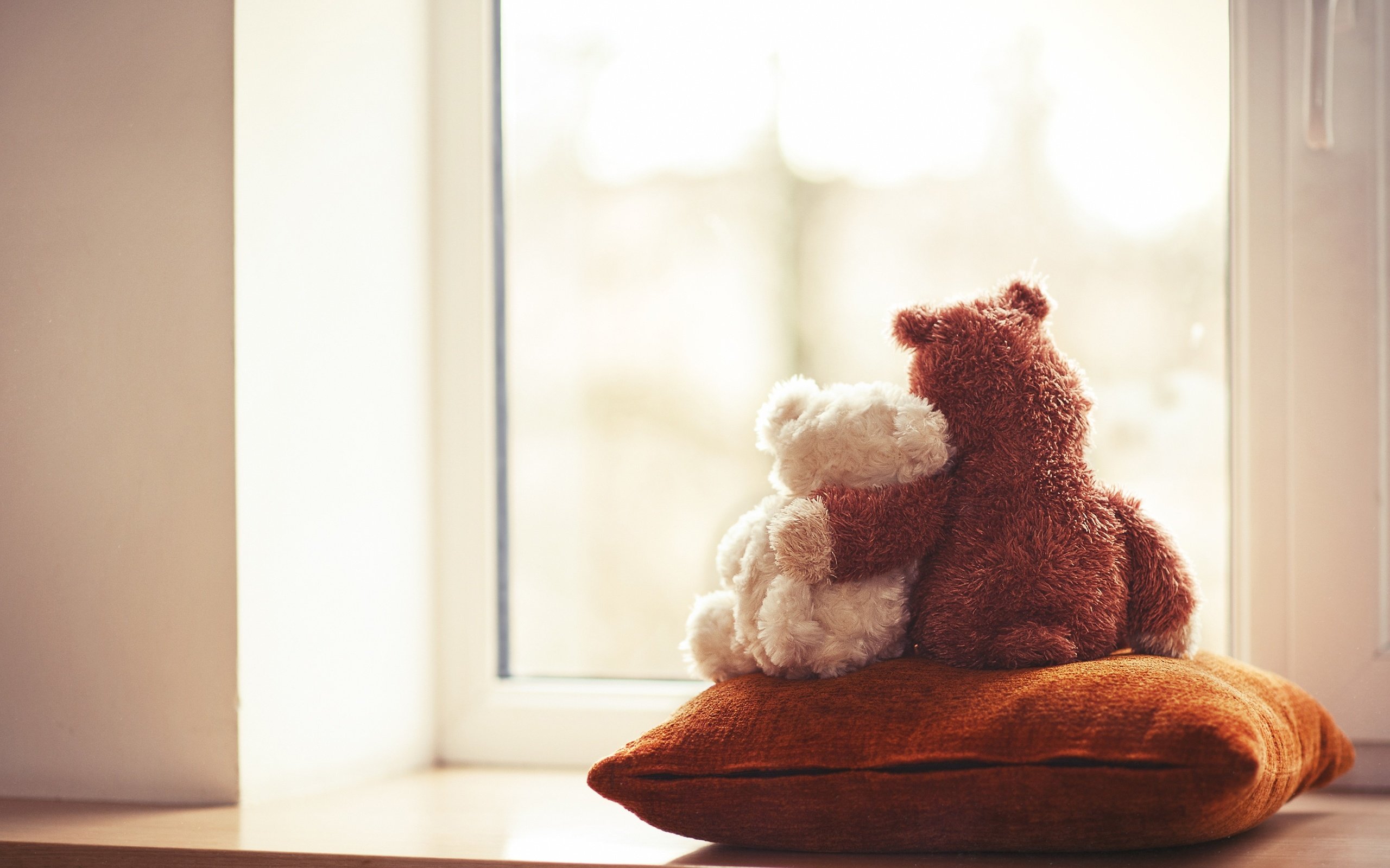 Обои мишки, игрушки, окно, подушка, мягкие, bears, toys, window, pillow, soft разрешение 4256x2832 Загрузить