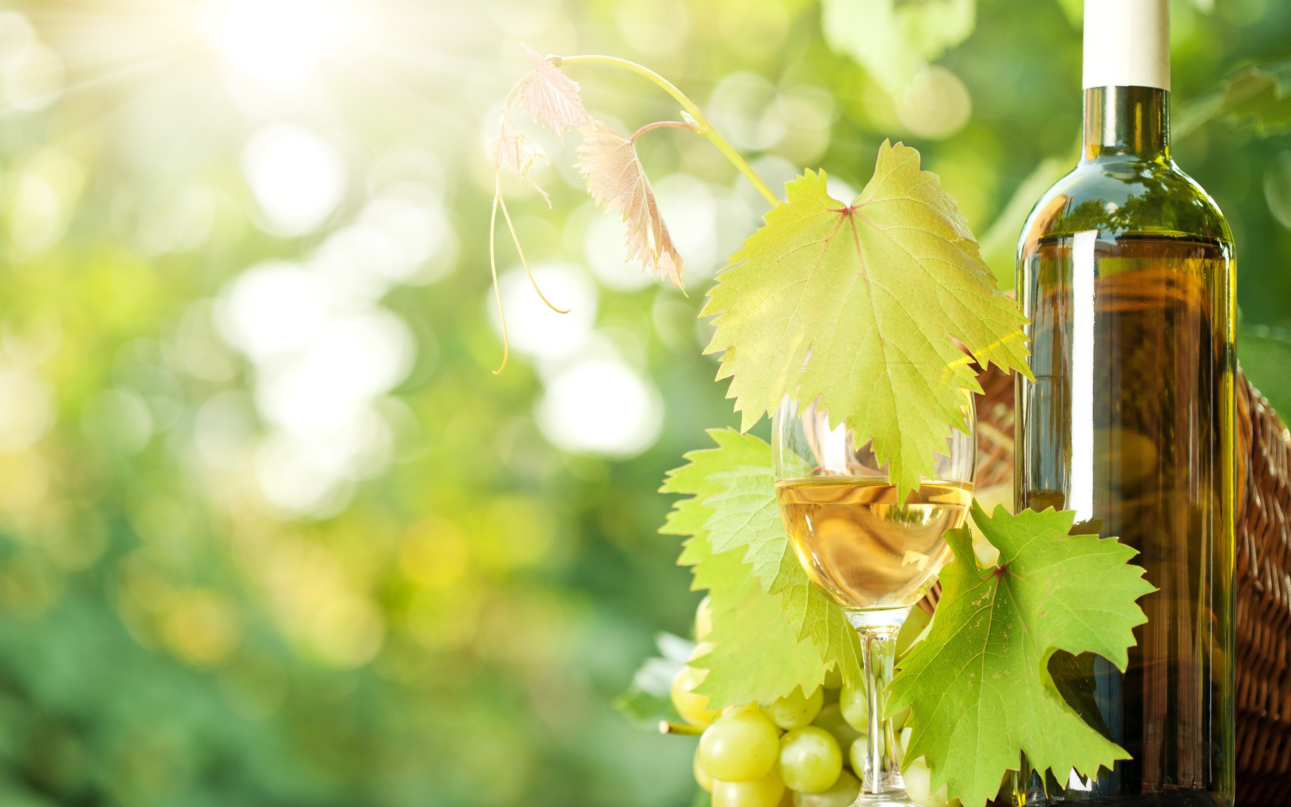 Обои виноград, бокал, вино, бутылка, солнечные лучи, grapes, glass, wine, bottle, the sun's rays разрешение 3609x2912 Загрузить