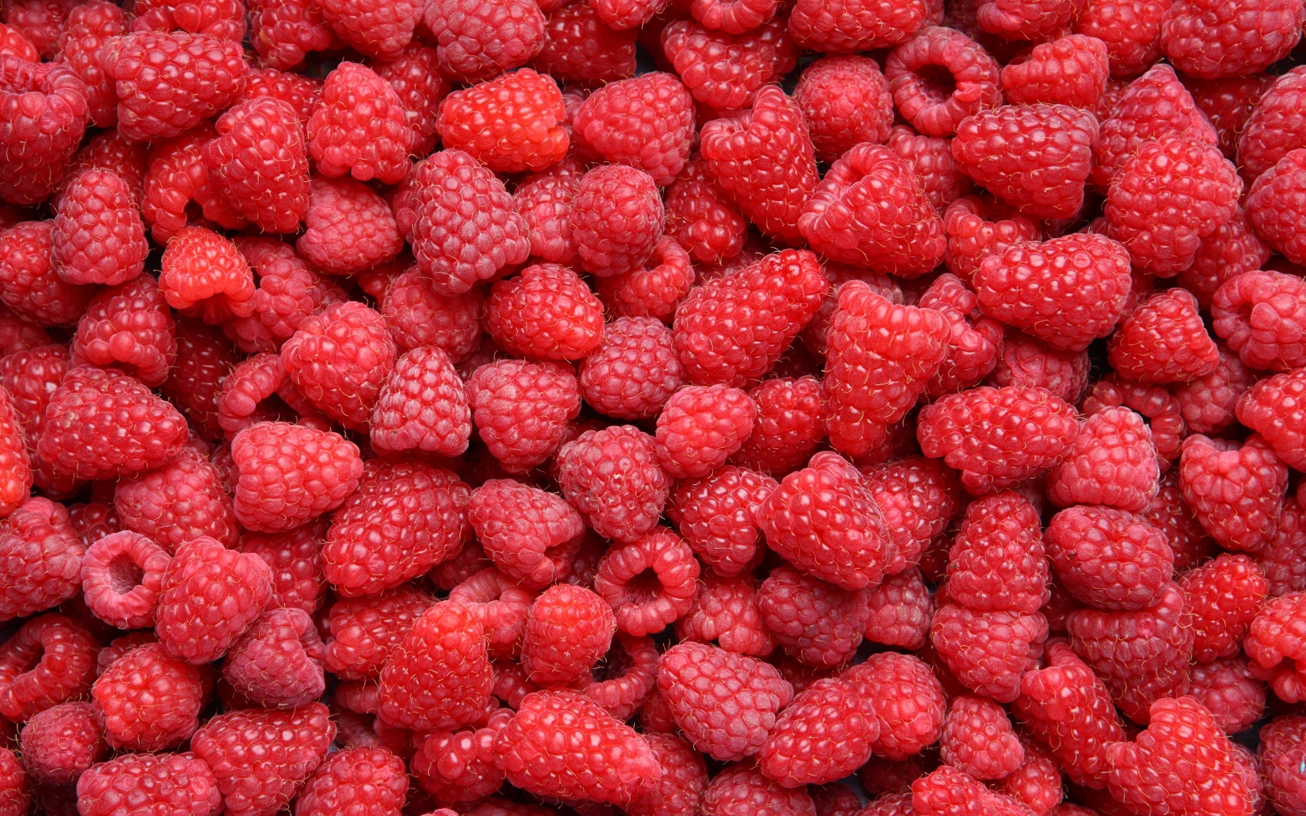 Обои малина, красная, ягоды, много, raspberry, red, berries, a lot разрешение 4600x3026 Загрузить