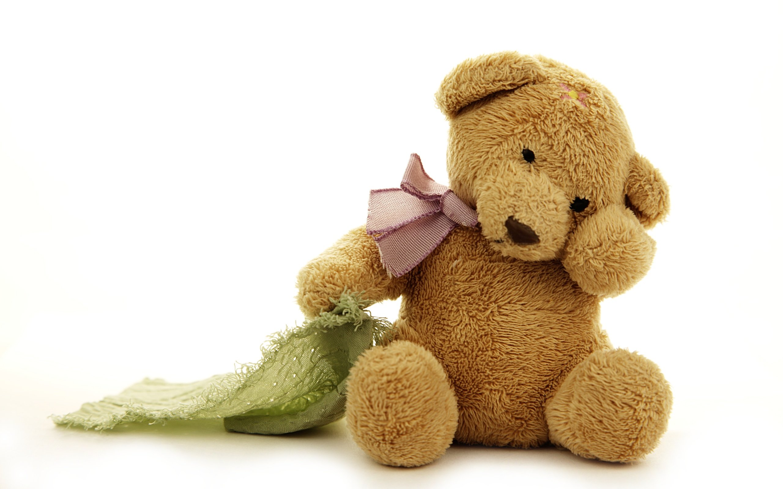 Обои медведь, мишка, игрушка, тедди, игрушечная, бантик, медвед, миленькая, bear, toy, teddy, bow, cute разрешение 5616x3744 Загрузить