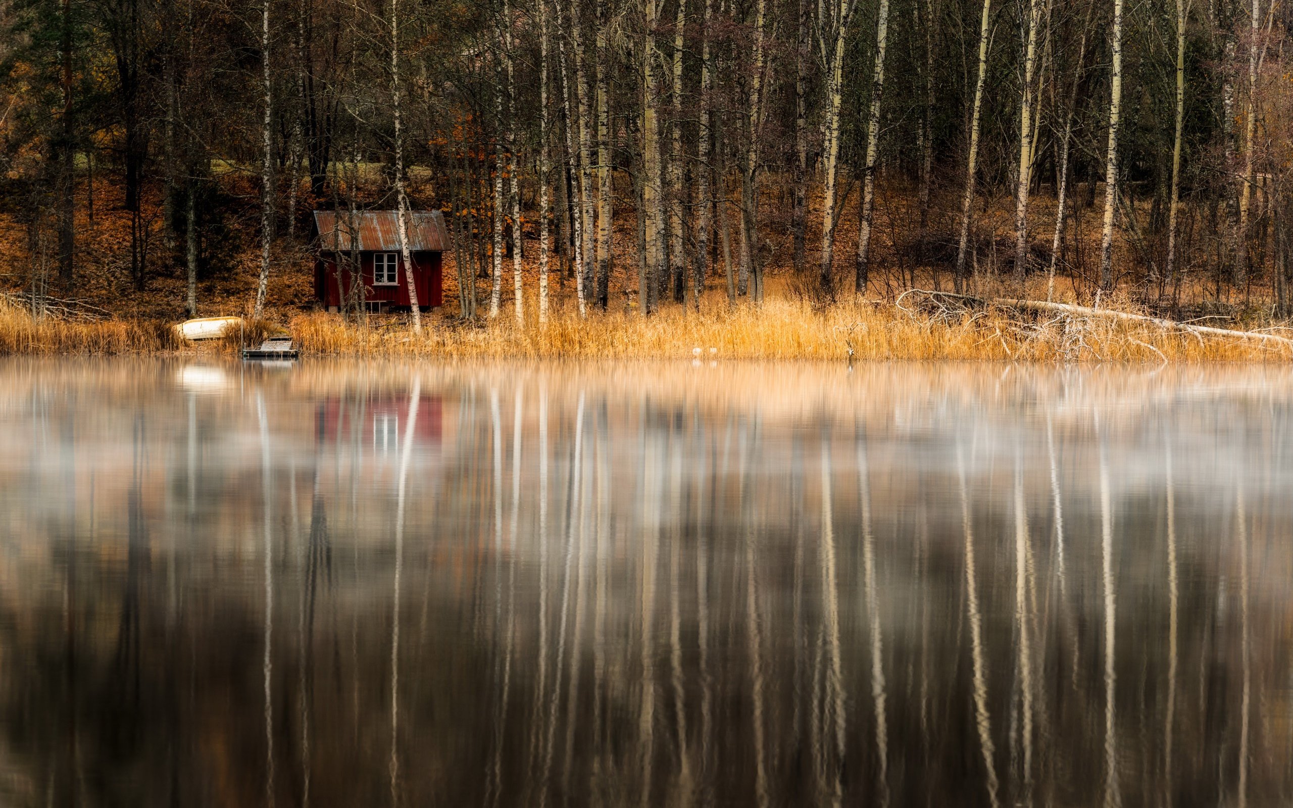 Обои деревья, озеро, берег, лес, отражение, домик, trees, lake, shore, forest, reflection, house разрешение 2560x1708 Загрузить