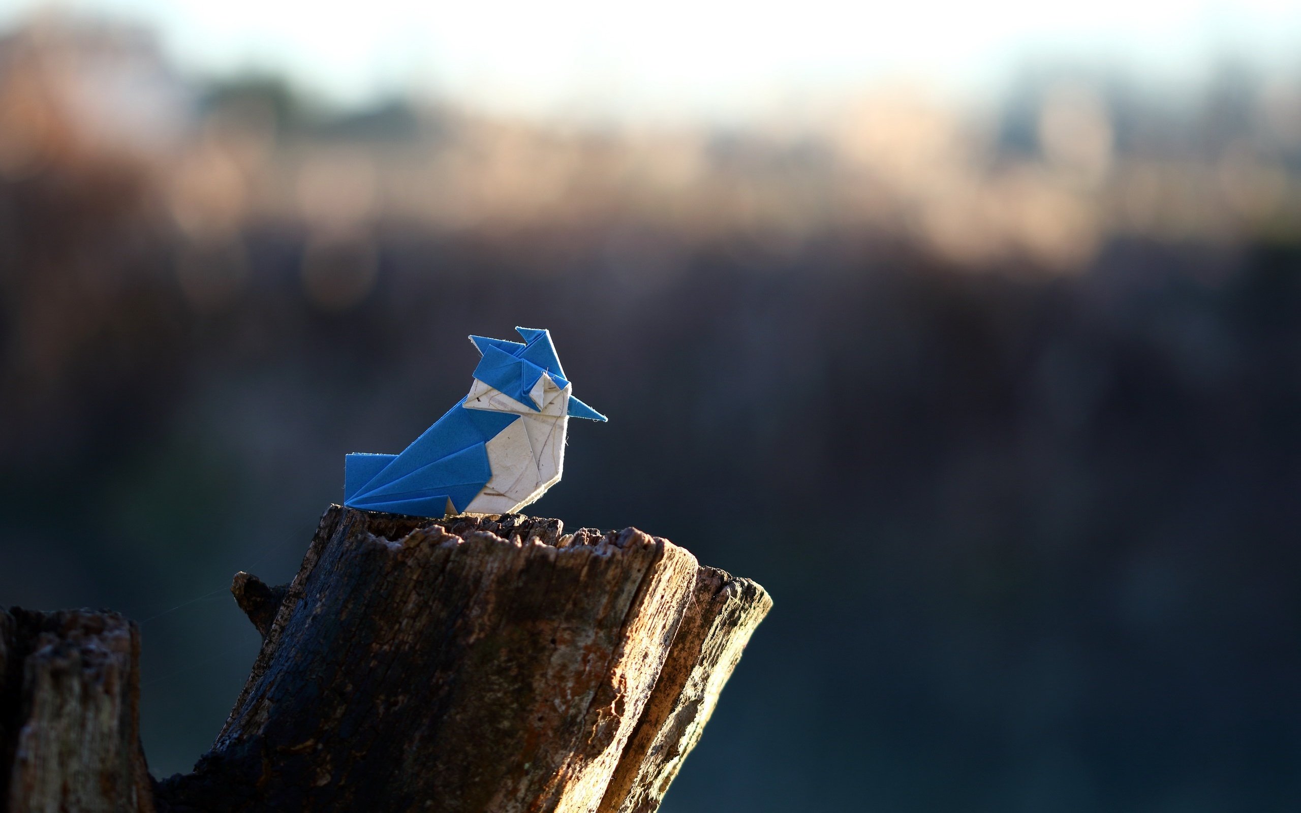 Обои бумага, птица, оригами, crested kingfisher, paper, bird, origami разрешение 2560x1707 Загрузить