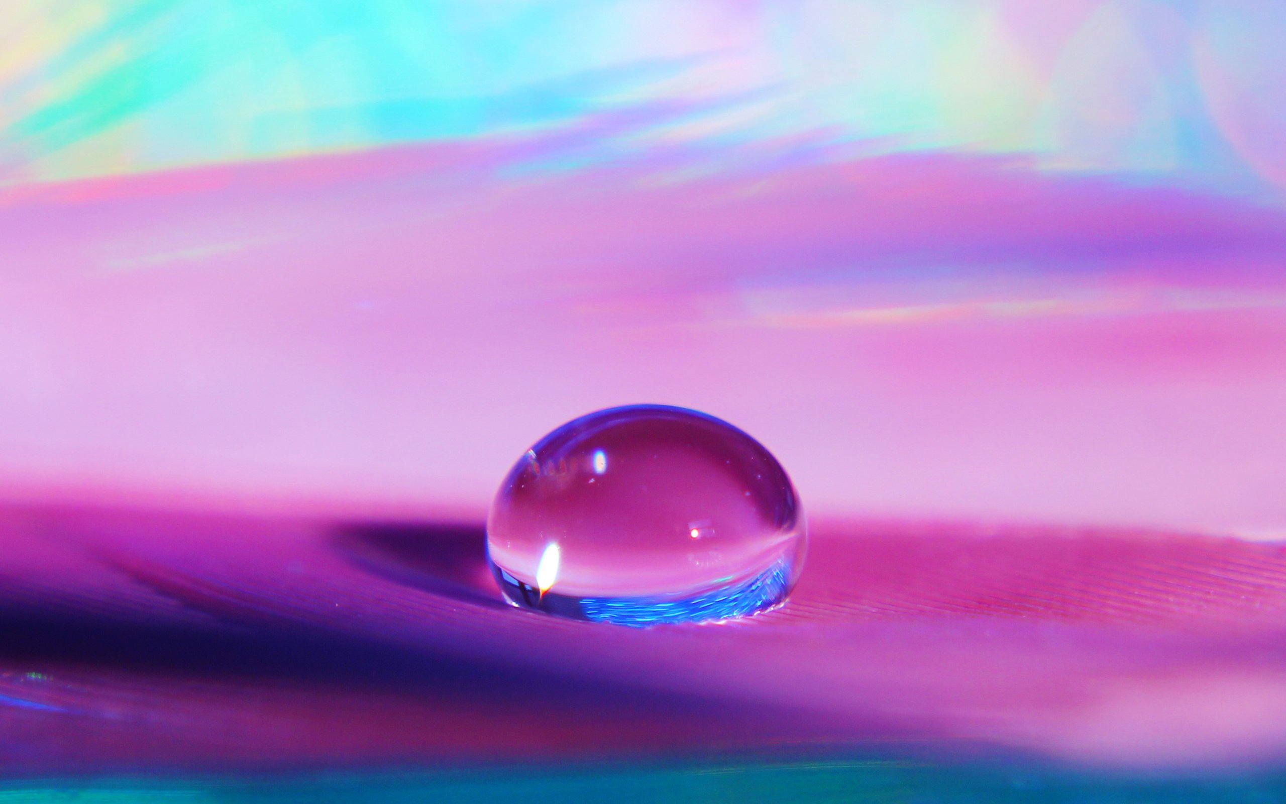 Обои вода, макро, капля, о, прозрачность, п, сиреневый фон, water, macro, drop, on, transparency, p, lilac background разрешение 2898x2898 Загрузить