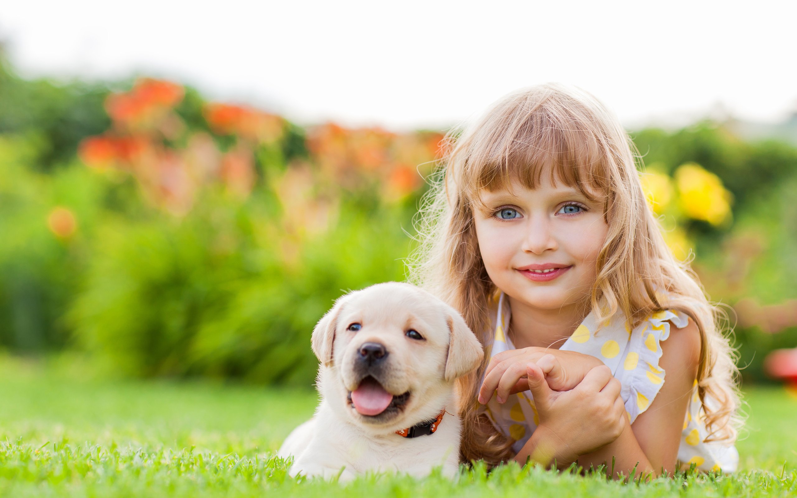 Обои улыбка, дети, девочка, щенок, лицо, ребенок, друзья, ретривер, smile, children, girl, puppy, face, child, friends, retriever разрешение 5176x3450 Загрузить