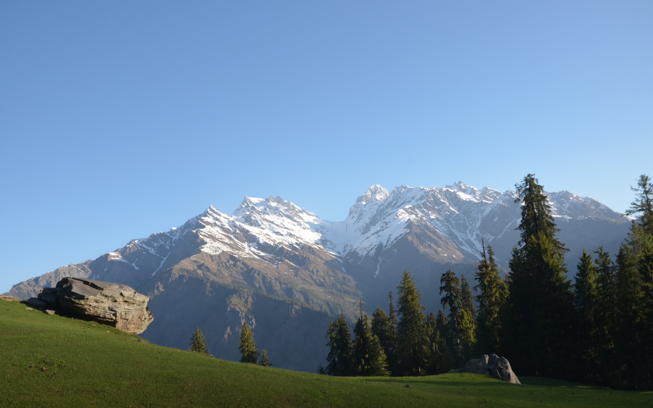 Обои небо, трава, деревья, горы, снег, природа, лес, индия, the sky, grass, trees, mountains, snow, nature, forest, india разрешение 4928x3264 Загрузить