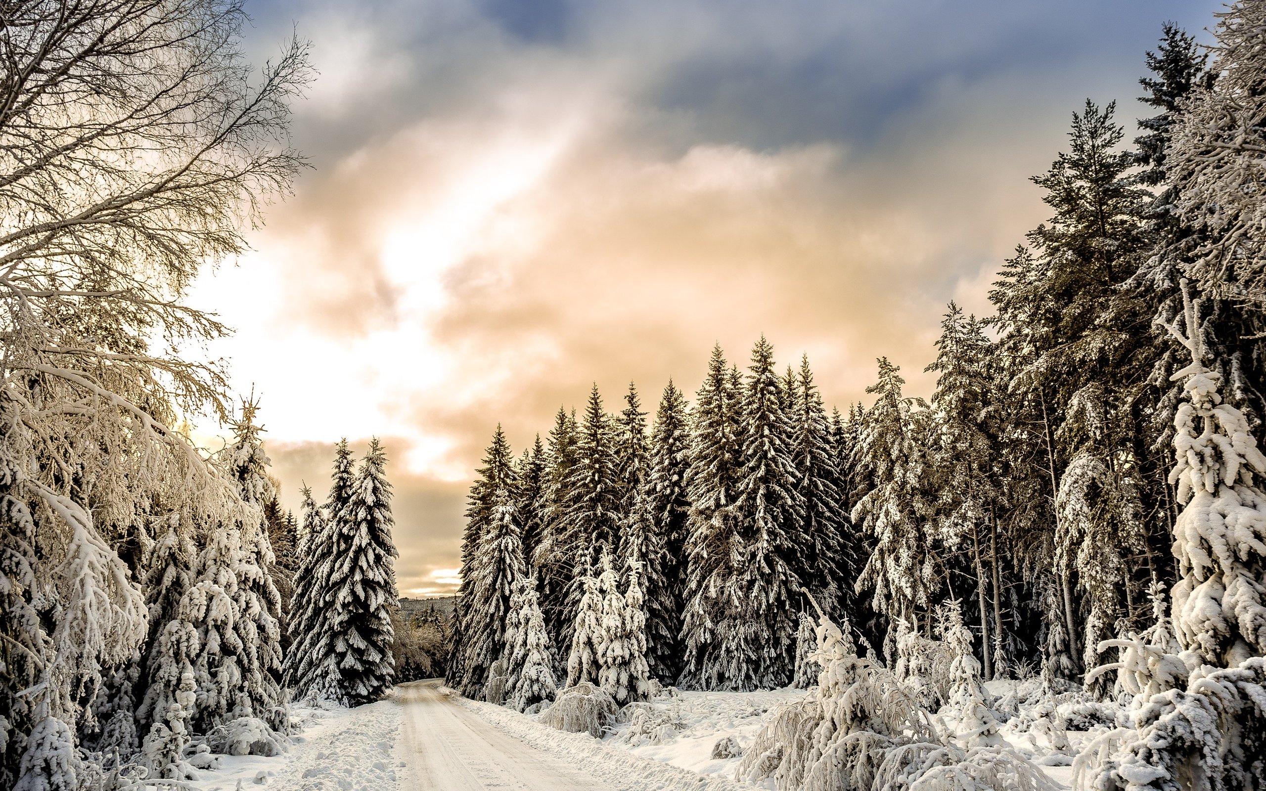 Обои облака, деревья, снег, лес, зима, clouds, trees, snow, forest, winter разрешение 3000x2250 Загрузить