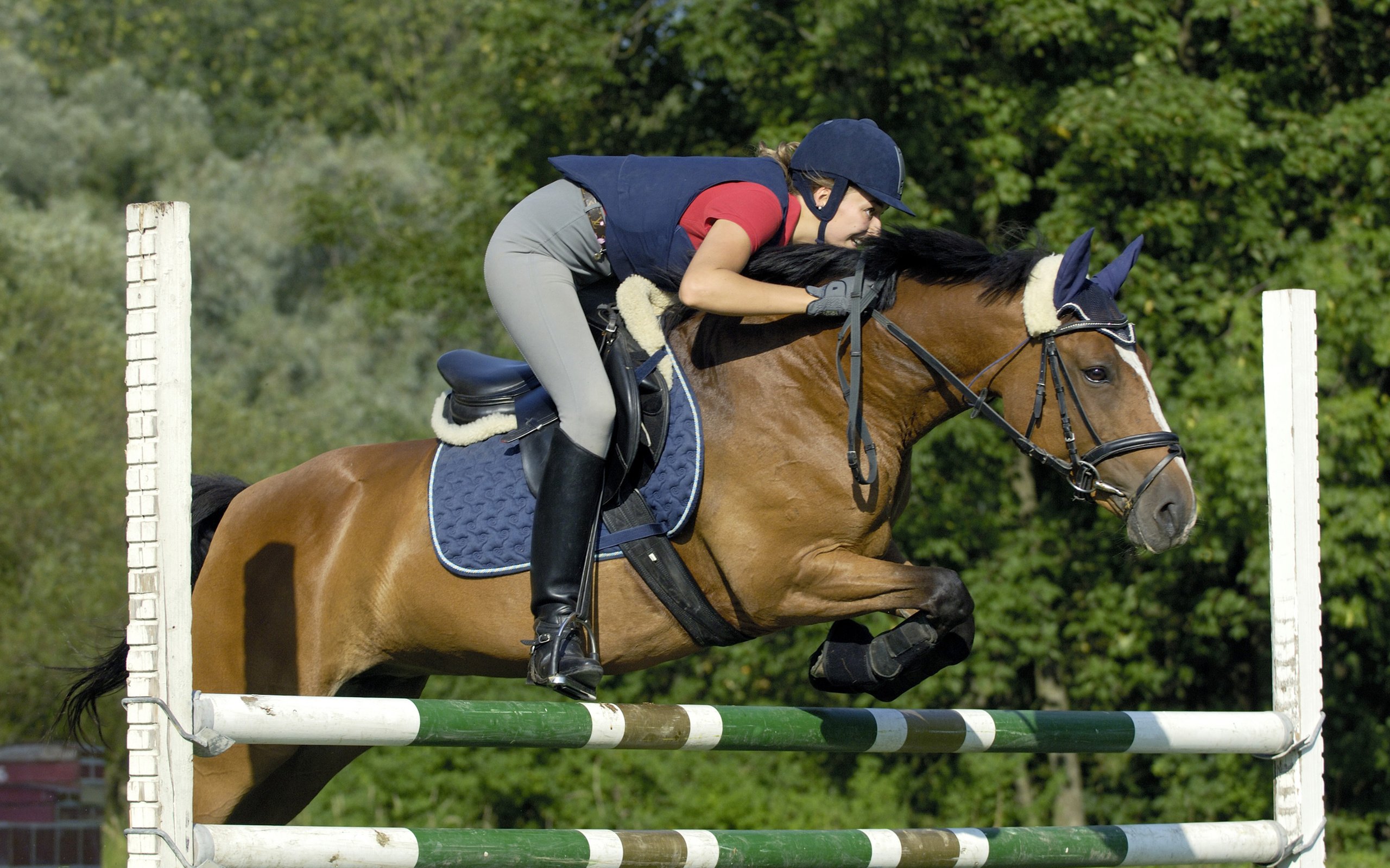 Обои лошадь, девушка, прыжок, спорт, униформа, конь, барьер, horse, girl, jump, sport, uniform, barrier разрешение 2700x1800 Загрузить