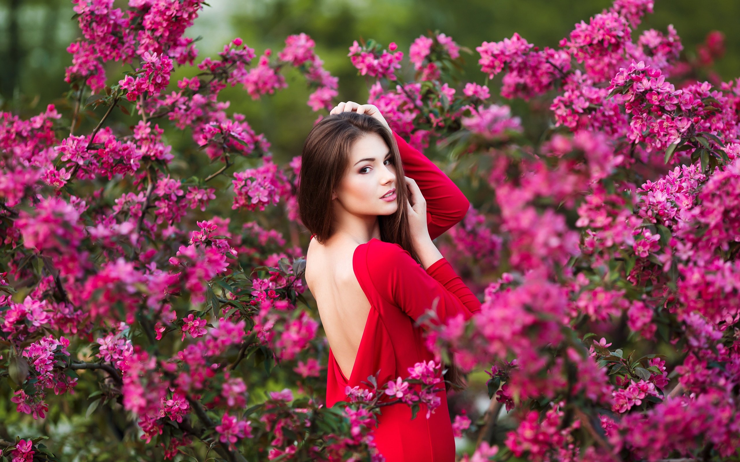 Девушка В Красном Платье С Цветами