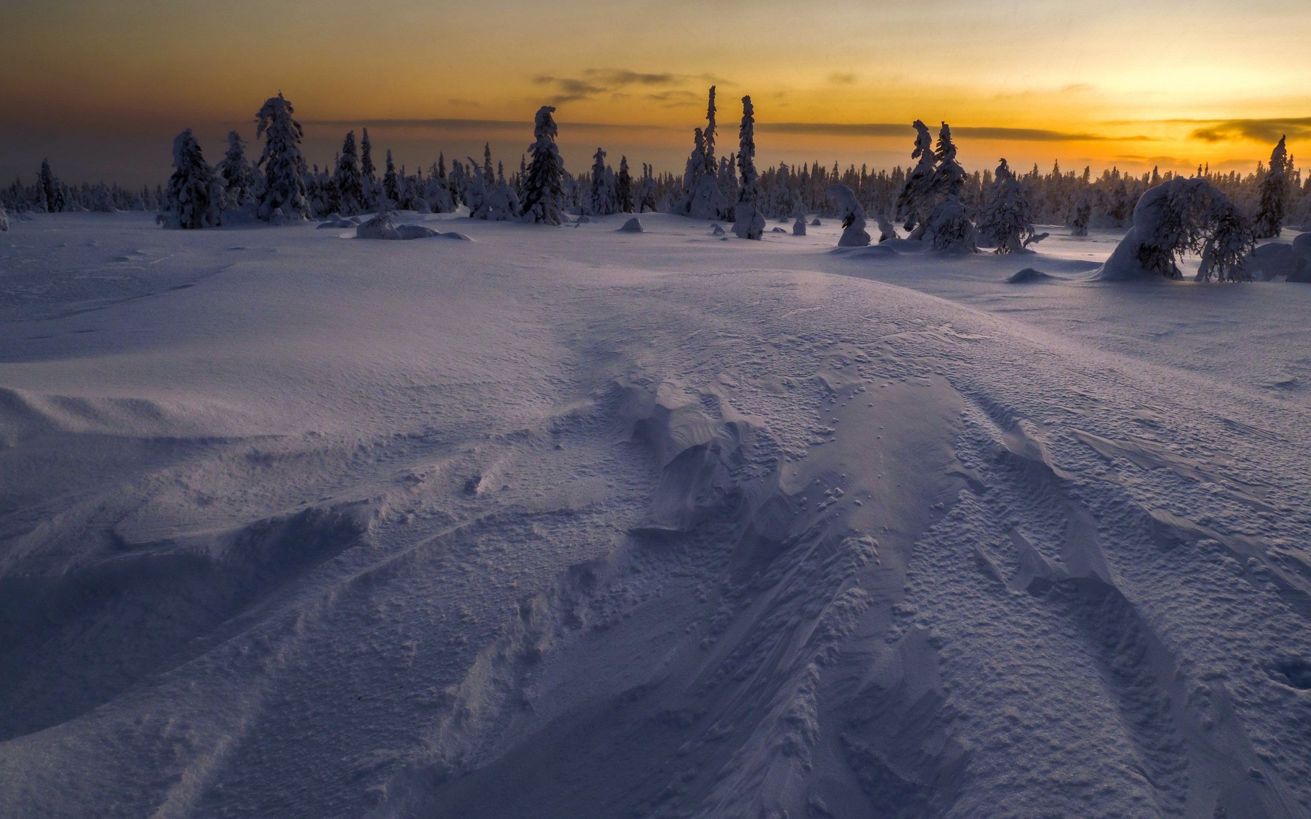 Обои ночь, снег, зима, поле, night, snow, winter, field разрешение 3840x2160 Загрузить