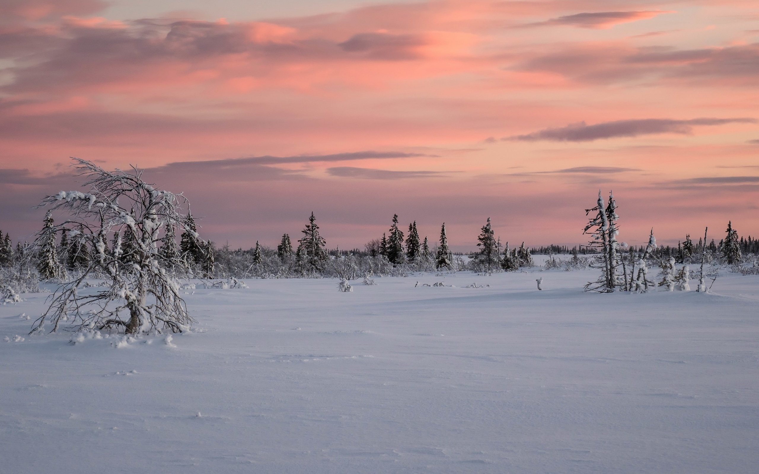 Обои снег, закат, snow, sunset разрешение 3840x2160 Загрузить