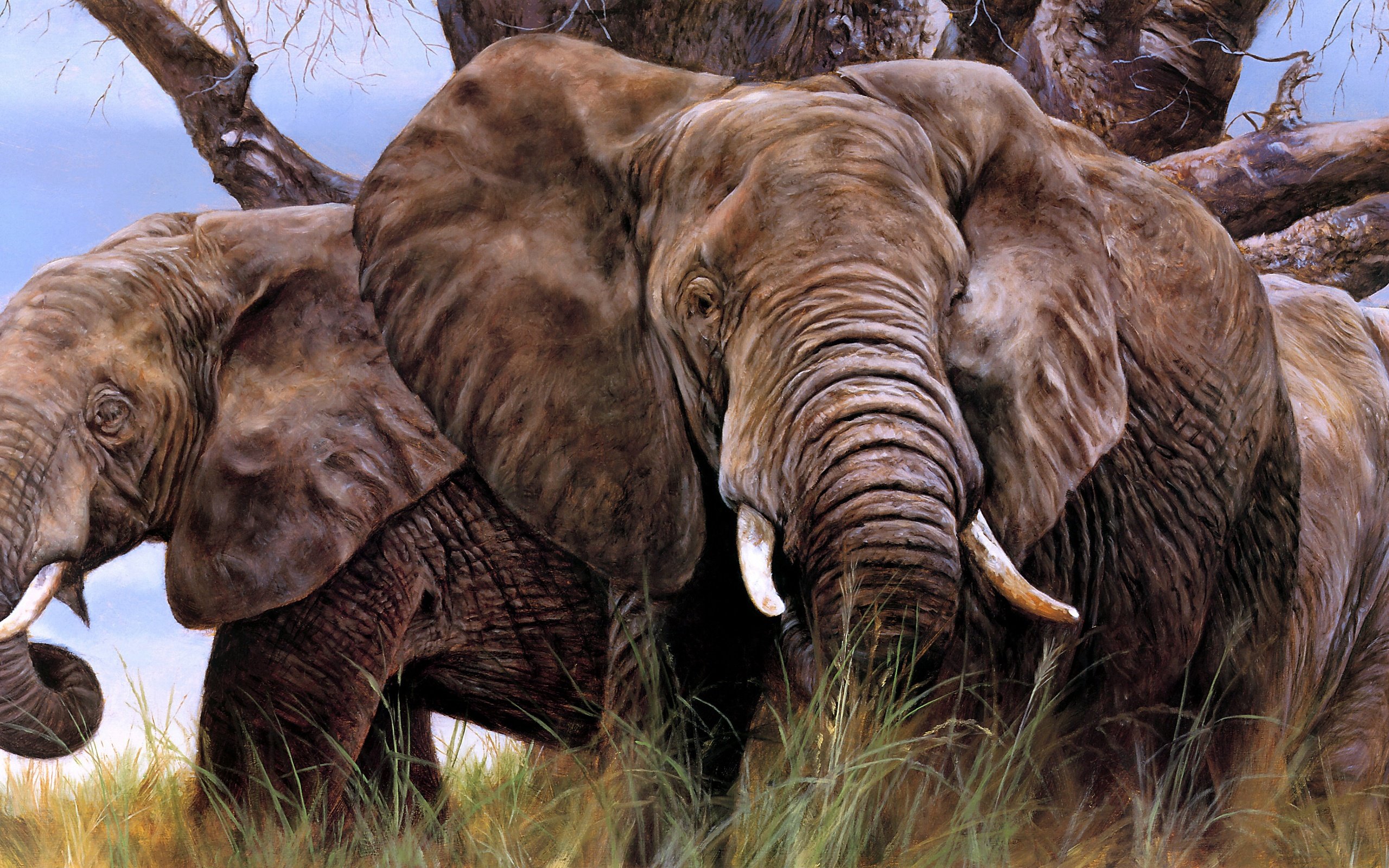 Обои арт, слон, уши, слоны, бивни, art, elephant, ears, elephants, tusks разрешение 4731x2075 Загрузить