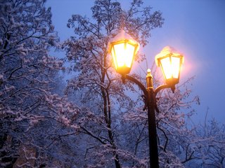 Обои свет, холод, деревья, фонарь, вечер, снег, природа, зима, ветки, мороз, light, cold, trees, lantern, the evening, snow, nature, winter, branches, frost разрешение 2592x1944 Загрузить