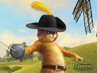 Обои кот, шляпа, шрек, кот из шрека, cat, hat, shrek, the cat from shrek разрешение 1920x1080 Загрузить