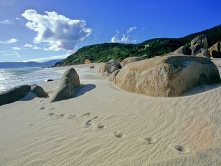 Обои камни, лес, пляж, побережье, океан, тропики, stones, forest, beach, coast, the ocean, tropics разрешение 1920x1200 Загрузить