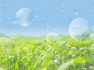 Обои мыльные пузыри, зеленое поле, bubbles, green field разрешение 1920x1200 Загрузить