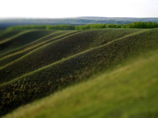 Обои трава, природа, зелень, поле, размытость, холм, grass, nature, greens, field, blur, hill разрешение 1920x1080 Загрузить