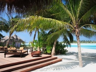 Обои пляж, пальмы, тропики, мальдивы, beach, palm trees, tropics, the maldives разрешение 2560x1706 Загрузить