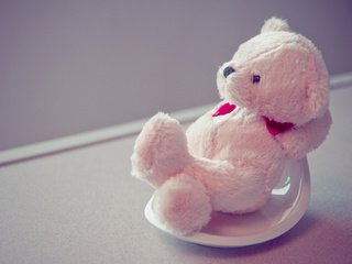 Обои белый, мишка, игрушки, тедди, плюшевый, white, bear, toys, teddy, plush разрешение 2560x1600 Загрузить