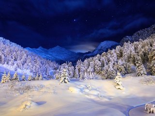 Обои небо, ночь, горы, снег, дерево, лес, зима, the sky, night, mountains, snow, tree, forest, winter разрешение 1920x1200 Загрузить