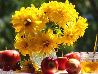 Обои яблоки, шиповник, букет, мед, apples, briar, bouquet, honey разрешение 1920x1255 Загрузить