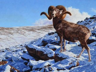 Обои горы, рога, козел, mountains, horns, goat разрешение 2048x1202 Загрузить