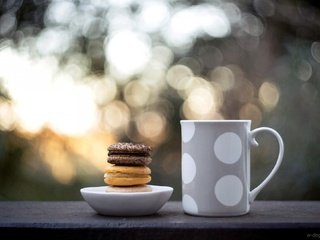 Обои еда, кружка, чашка, сладкое, печенье, боке, макарун, food, mug, cup, sweet, cookies, bokeh, macaron разрешение 1920x1317 Загрузить