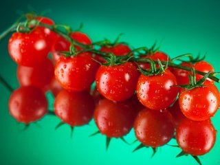 Обои вода, фон, капли, овощи, помидоры, томаты, спелые, water, background, drops, vegetables, tomatoes, ripe разрешение 1920x1255 Загрузить