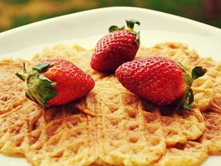 Обои клубника, ягоды, тарелка, выпечка, вафли, strawberry, berries, plate, cakes, waffles разрешение 1920x1200 Загрузить