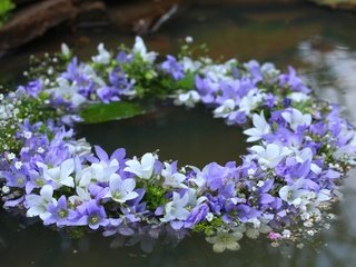 Обои цветы, вода, белые, колокольчики, венок, сиреневые, flowers, water, white, bells, wreath, lilac разрешение 1920x1280 Загрузить