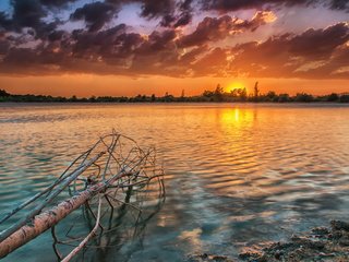 Обои небо, облака, река, природа, дерево, закат, пейзаж, горизонт, the sky, clouds, river, nature, tree, sunset, landscape, horizon разрешение 2560x1605 Загрузить