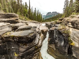 Обои деревья, река, скалы, пейзаж, mistaya canyon, banf-icefields, trees, river, rocks, landscape, at mistaya canyon разрешение 2880x1920 Загрузить