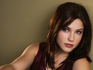 Обои брюнетка, взгляд, лицо, актриса, софия буш, brunette, look, face, actress, sophia bush разрешение 2196x1464 Загрузить