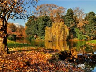 Обои деревья, пейзаж, парк, осень, пруд, trees, landscape, park, autumn, pond разрешение 2880x1922 Загрузить