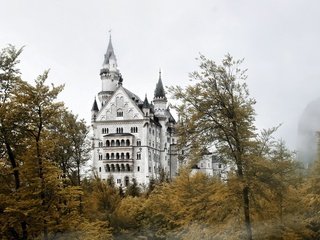 Обои города, замок, германия, нойшванштайн, с серыми, баварии,     дерево, city, castle, germany, neuschwanstein, gray, bavaria, tree разрешение 1920x1200 Загрузить