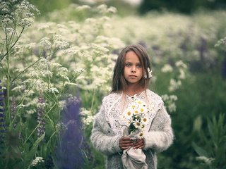 Обои девочка, ромашки, прелесть, girl, chamomile, the beauty разрешение 2000x1335 Загрузить