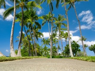 Обои небо, облака, море, пальмы, тропики, гавайи, the sky, clouds, sea, palm trees, tropics, hawaii разрешение 2880x1920 Загрузить