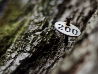 Обои дерево, макро, гвоздь, мох, кора, номер, 200, tree, macro, nail, moss, bark, room разрешение 1920x1271 Загрузить