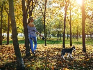 Обои деревья, фотограф, собаку, солнце, хаски, листья, прическа, девушка, фигура, парк, майка, блондинка, поводок, осень, тельняшка, джинсы, denis doronin, выгуливает, walks, trees, photographer, the dog, the sun, husky, leaves, hairstyle, girl, figure, park, mike, blonde, leash, autumn, vest, jeans разрешение 2560x1680 Загрузить