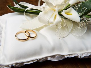 Обои цветы, обручальные кольца, подушечка, flowers, engagement rings, cushion разрешение 2560x1600 Загрузить