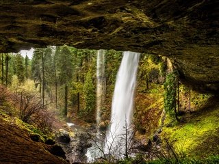 Обои деревья, камни, лес, скала, ручей, водопад, сша, silver falls state park, trees, stones, forest, rock, stream, waterfall, usa разрешение 2880x1923 Загрузить