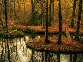 Обои деревья, вода, лес, отражение, мост, осень, водоем, осен, заркало, mirror, trees, water, forest, reflection, bridge, autumn, pond разрешение 2415x1606 Загрузить