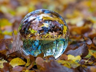 Обои отражение, листва, осень, сфера, шар, стеклянный шар, стеклянный, reflection, foliage, autumn, sphere, ball, glass globe, glass разрешение 1920x1080 Загрузить