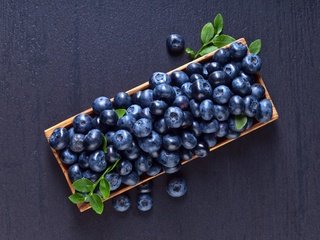 Обои еда, витамины, ягоды, черника, корзинка, черничный, food, vitamins, berries, blueberries, basket, blueberry разрешение 5070x3660 Загрузить