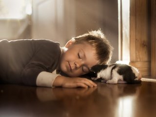 Обои сон, котенок, маленький, дети, ребенок, мальчик, sleep, kitty, small, children, child, boy разрешение 2048x1365 Загрузить