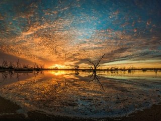 Обои деревья, река, природа, закат, пейзаж, ветки, горизонт, trees, river, nature, sunset, landscape, branches, horizon разрешение 2560x1790 Загрузить